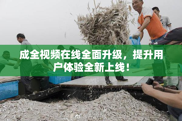 成全视频在线全面升级，提升用户体验全新上线！