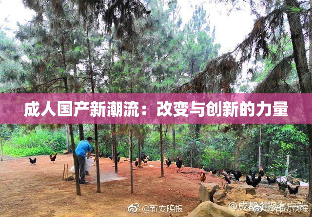 成人国产新潮流：改变与创新的力量