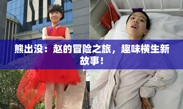 熊出没：赵的冒险之旅，趣味横生新故事！