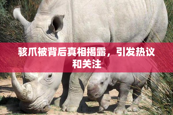 骇爪被背后真相揭露，引发热议和关注
