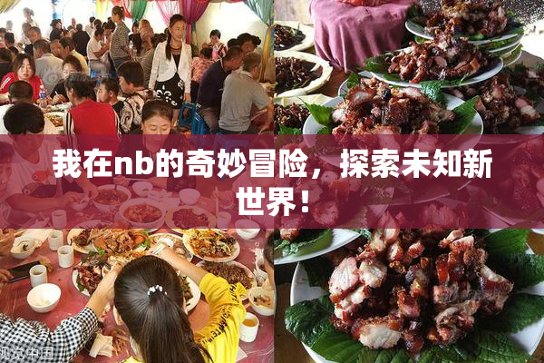 我在nb的奇妙冒险，探索未知新世界！