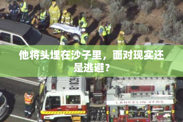 他将头埋在沙子里，面对现实还是逃避？