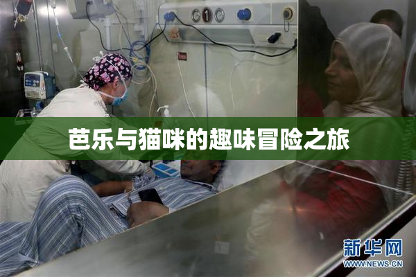 芭乐与猫咪的趣味冒险之旅