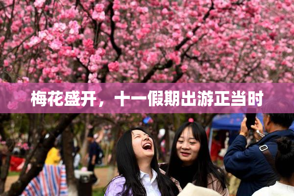 梅花盛开，十一假期出游正当时