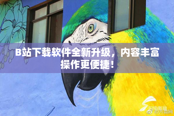 B站下载软件全新升级，内容丰富操作更便捷！