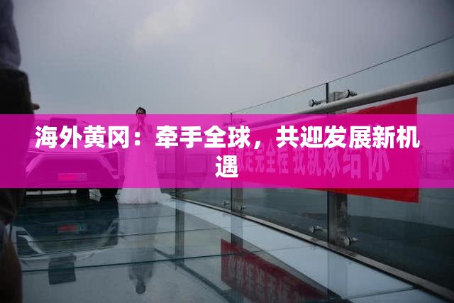 海外黄冈：牵手全球，共迎发展新机遇