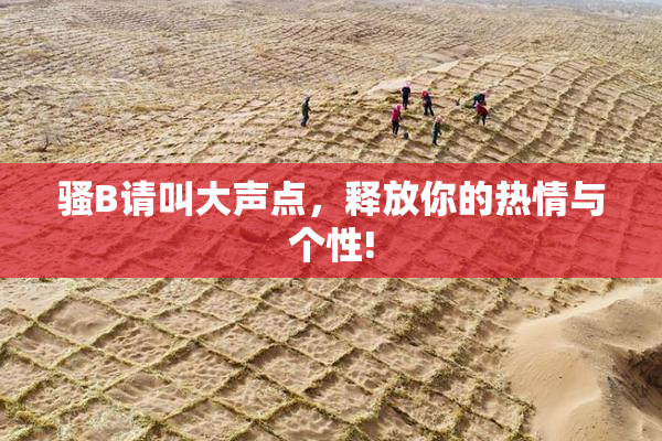 骚B请叫大声点，释放你的热情与个性!