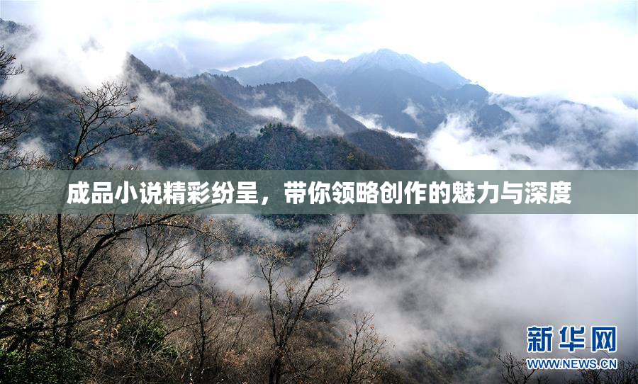成品小说精彩纷呈，带你领略创作的魅力与深度