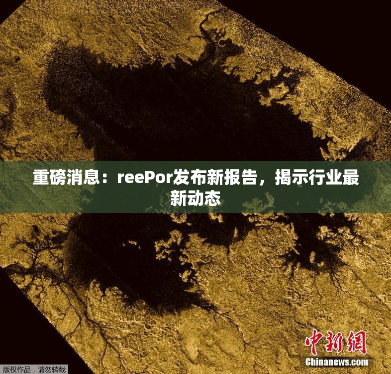 重磅消息：reePor发布新报告，揭示行业最新动态