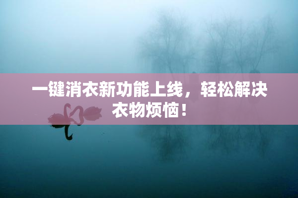 一键消衣新功能上线，轻松解决衣物烦恼！