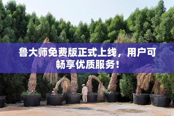 鲁大师免费版正式上线，用户可畅享优质服务！