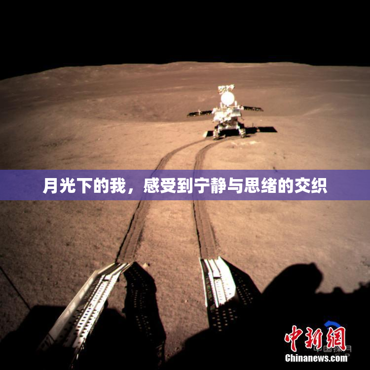月光下的我，感受到宁静与思绪的交织