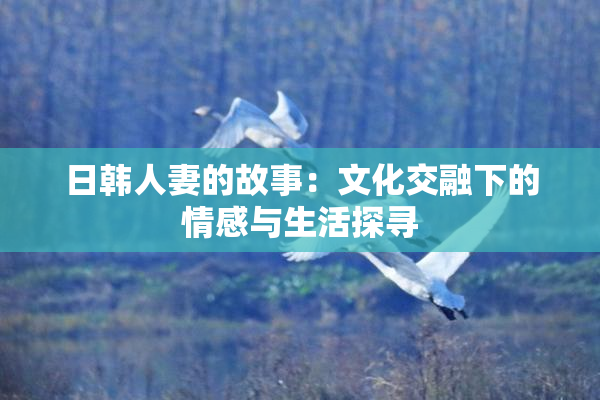 日韩人妻的故事：文化交融下的情感与生活探寻