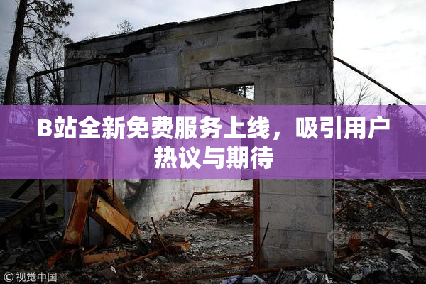 B站全新免费服务上线，吸引用户热议与期待