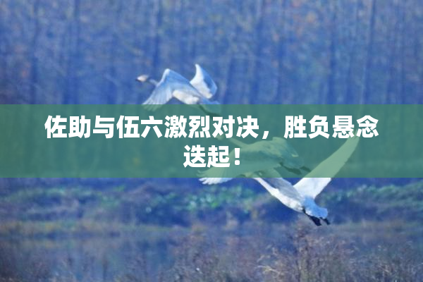 佐助与伍六激烈对决，胜负悬念迭起！