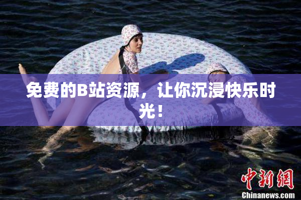 免费的B站资源，让你沉浸快乐时光！