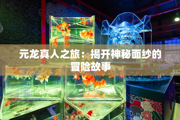 元龙真人之旅：揭开神秘面纱的冒险故事