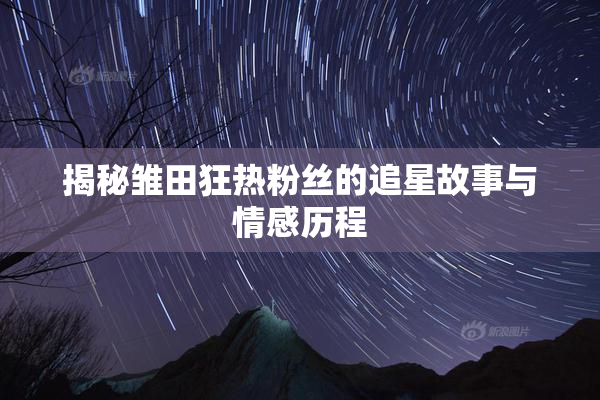 揭秘雏田狂热粉丝的追星故事与情感历程