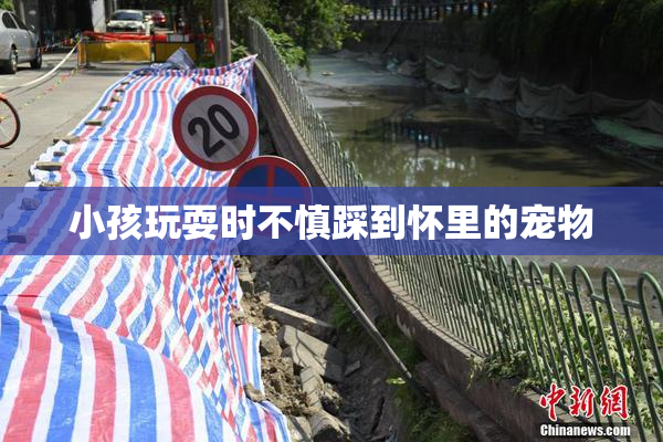 小孩玩耍时不慎踩到怀里的宠物