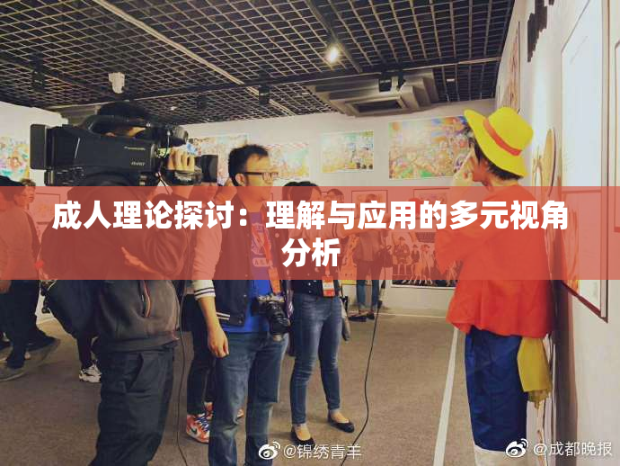 成人理论探讨：理解与应用的多元视角分析