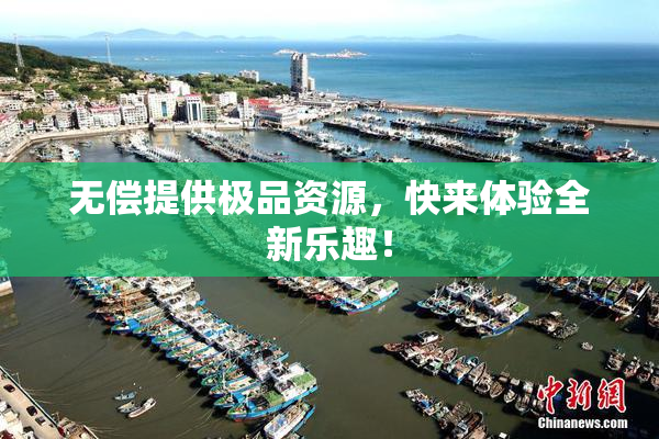 无偿提供极品资源，快来体验全新乐趣！