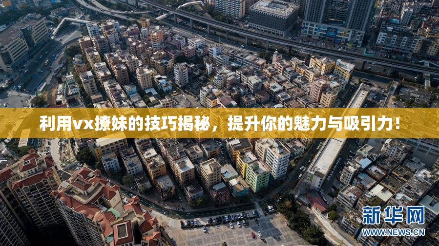 利用vx撩妹的技巧揭秘，提升你的魅力与吸引力！