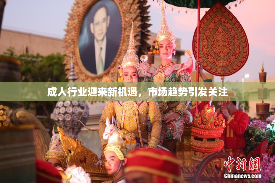 成人行业迎来新机遇，市场趋势引发关注