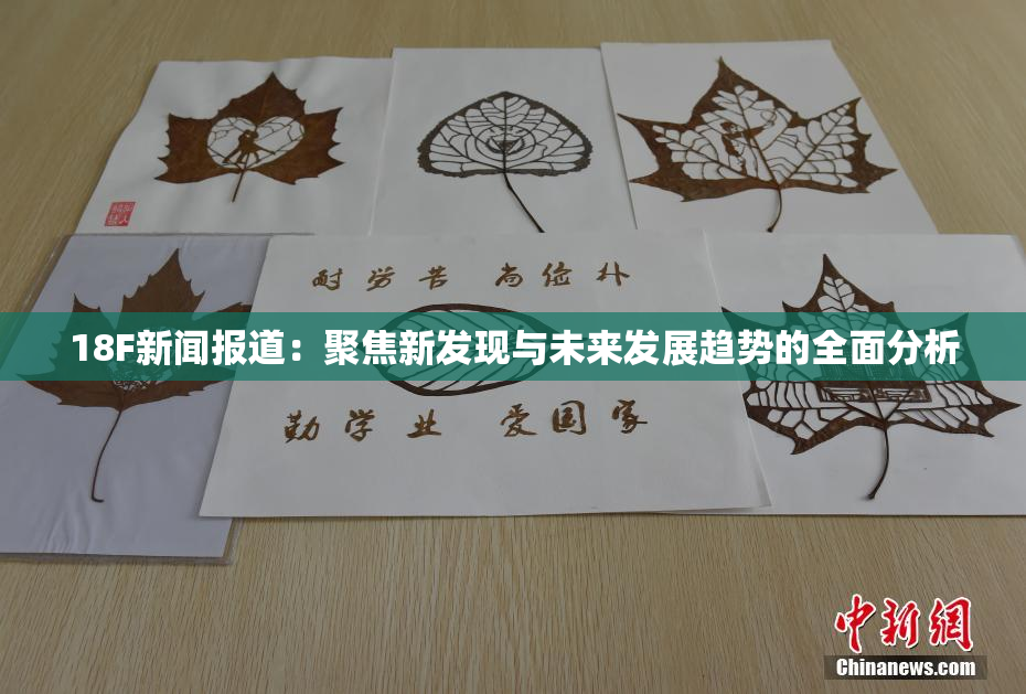 18F新闻报道：聚焦新发现与未来发展趋势的全面分析