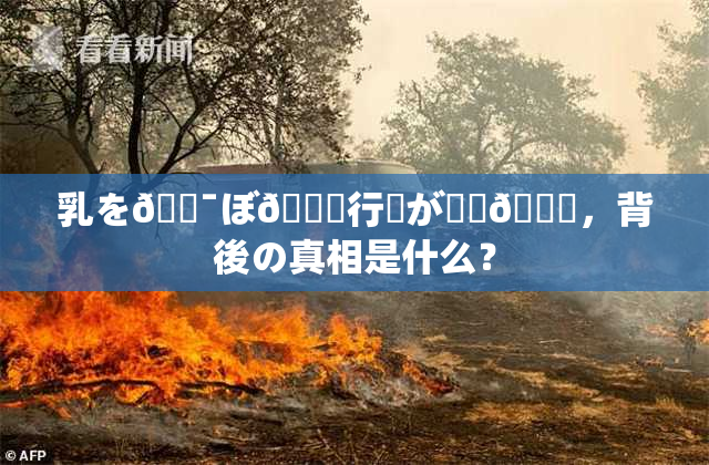 乳を🔯ぼ🌃行為が話題🎆，背後の真相是什么？