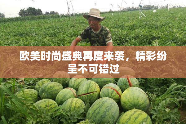 欧美时尚盛典再度来袭，精彩纷呈不可错过