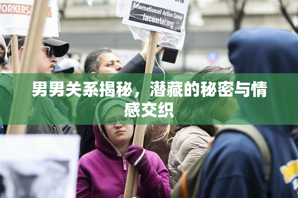 男男关系揭秘，潜藏的秘密与情感交织