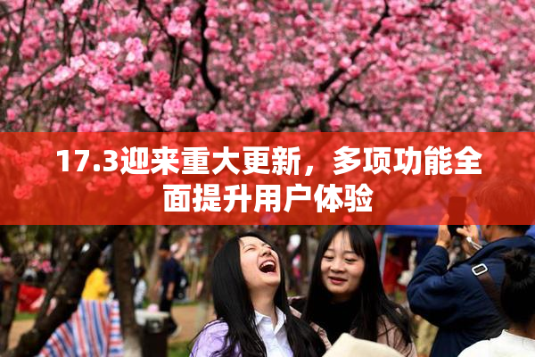 17.3迎来重大更新，多项功能全面提升用户体验