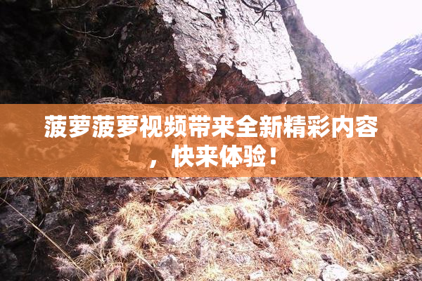 菠萝菠萝视频带来全新精彩内容，快来体验！
