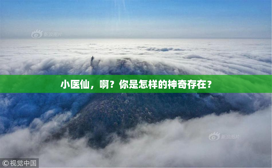小医仙，啊？你是怎样的神奇存在？