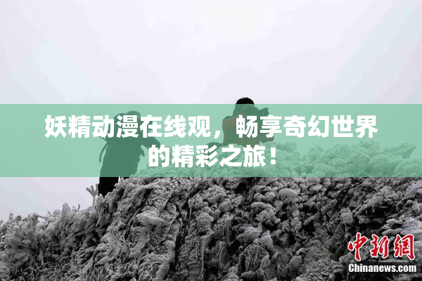 妖精动漫在线观，畅享奇幻世界的精彩之旅！