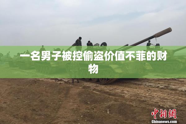 一名男子被控偷盗价值不菲的财物