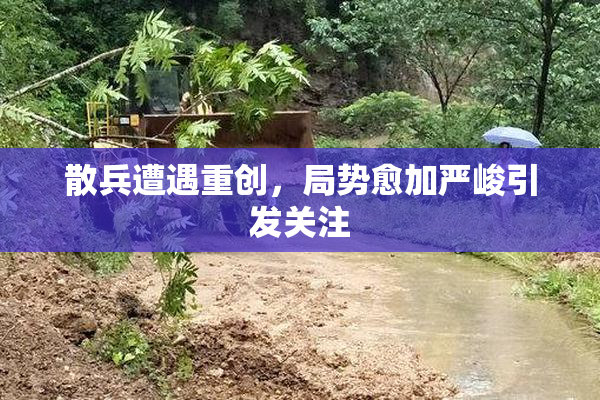 散兵遭遇重创，局势愈加严峻引发关注