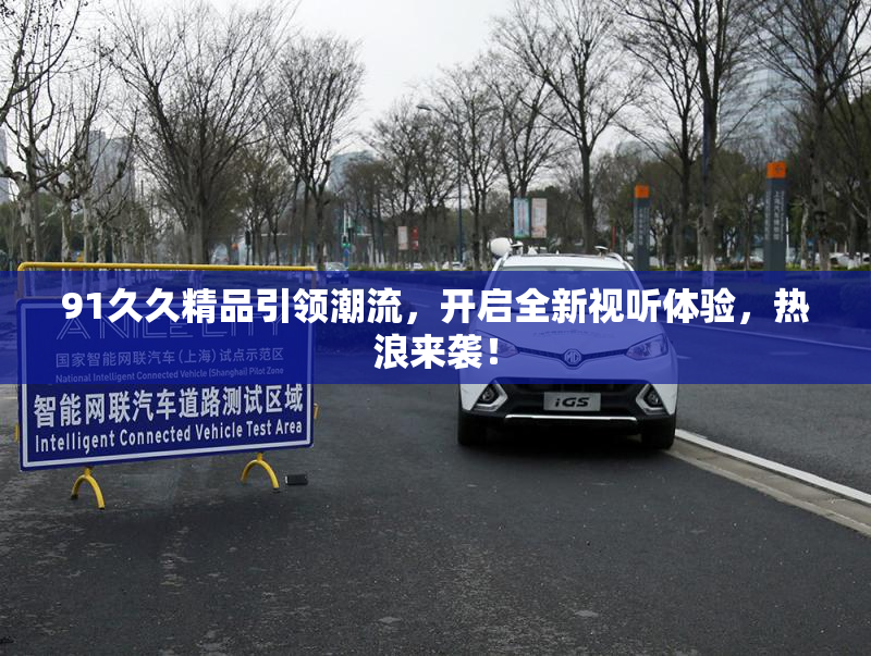 91久久精品引领潮流，开启全新视听体验，热浪来袭！