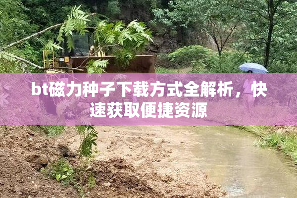 bt磁力种子下载方式全解析，快速获取便捷资源