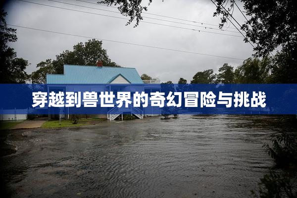 穿越到兽世界的奇幻冒险与挑战