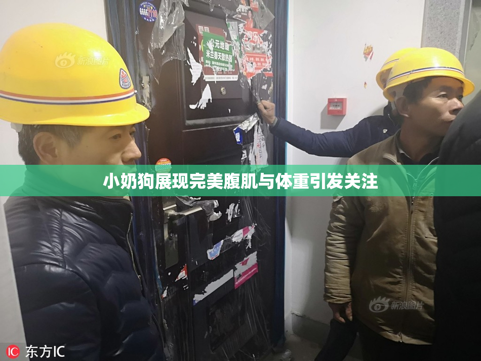 小奶狗展现完美腹肌与体重引发关注