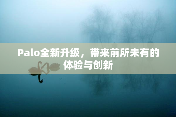 Palo全新升级，带来前所未有的体验与创新