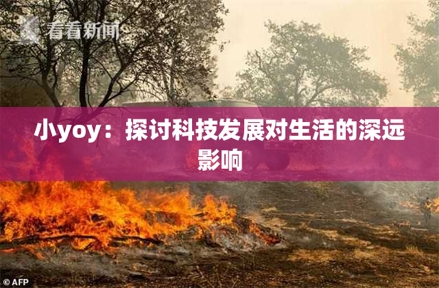 小yoy：探讨科技发展对生活的深远影响
