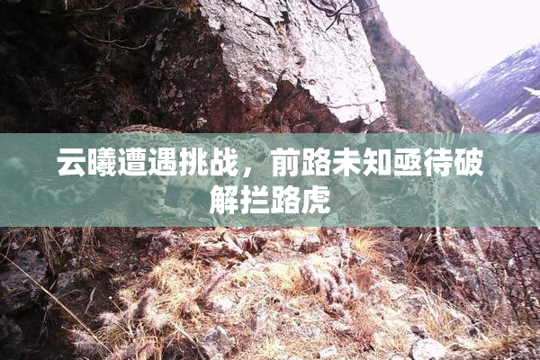 云曦遭遇挑战，前路未知亟待破解拦路虎