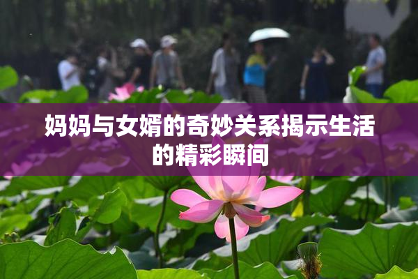 妈妈与女婿的奇妙关系揭示生活的精彩瞬间