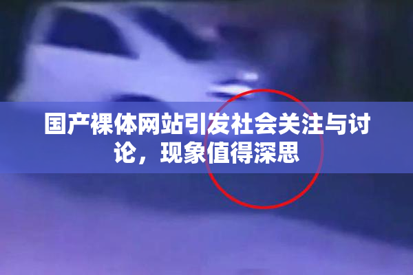 国产裸体网站引发社会关注与讨论，现象值得深思