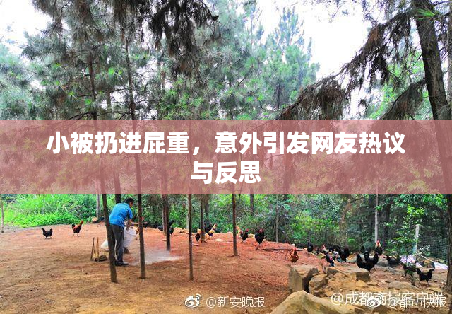 小被扔进屁重，意外引发网友热议与反思