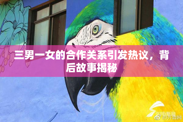 三男一女的合作关系引发热议，背后故事揭秘
