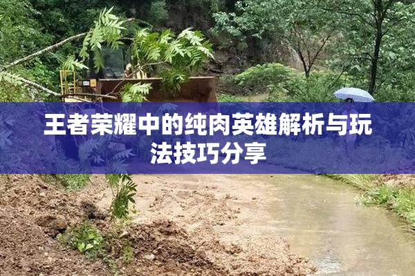 王者荣耀中的纯肉英雄解析与玩法技巧分享