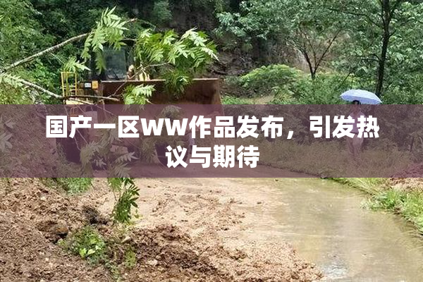 国产一区WW作品发布，引发热议与期待